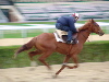 profil boursier de Quintus